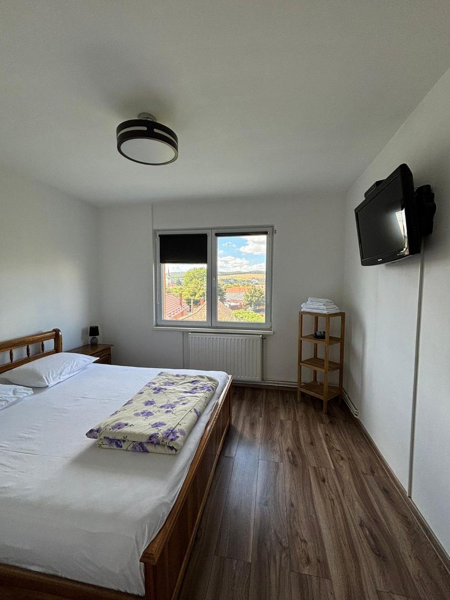 Ale Teo Apartament Târgu-Mureş Eksteriør bilde